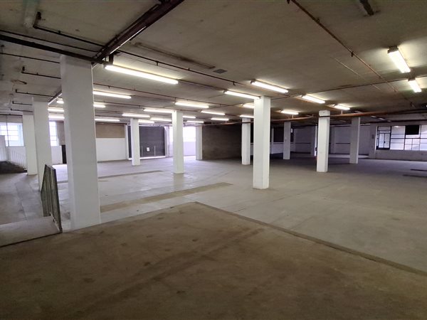 2490  m² Industrial space in Wynberg
