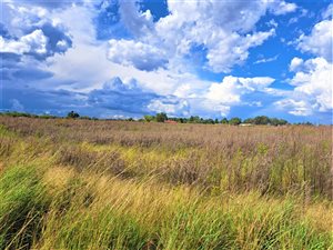 2.5 ha Land available in Northdene