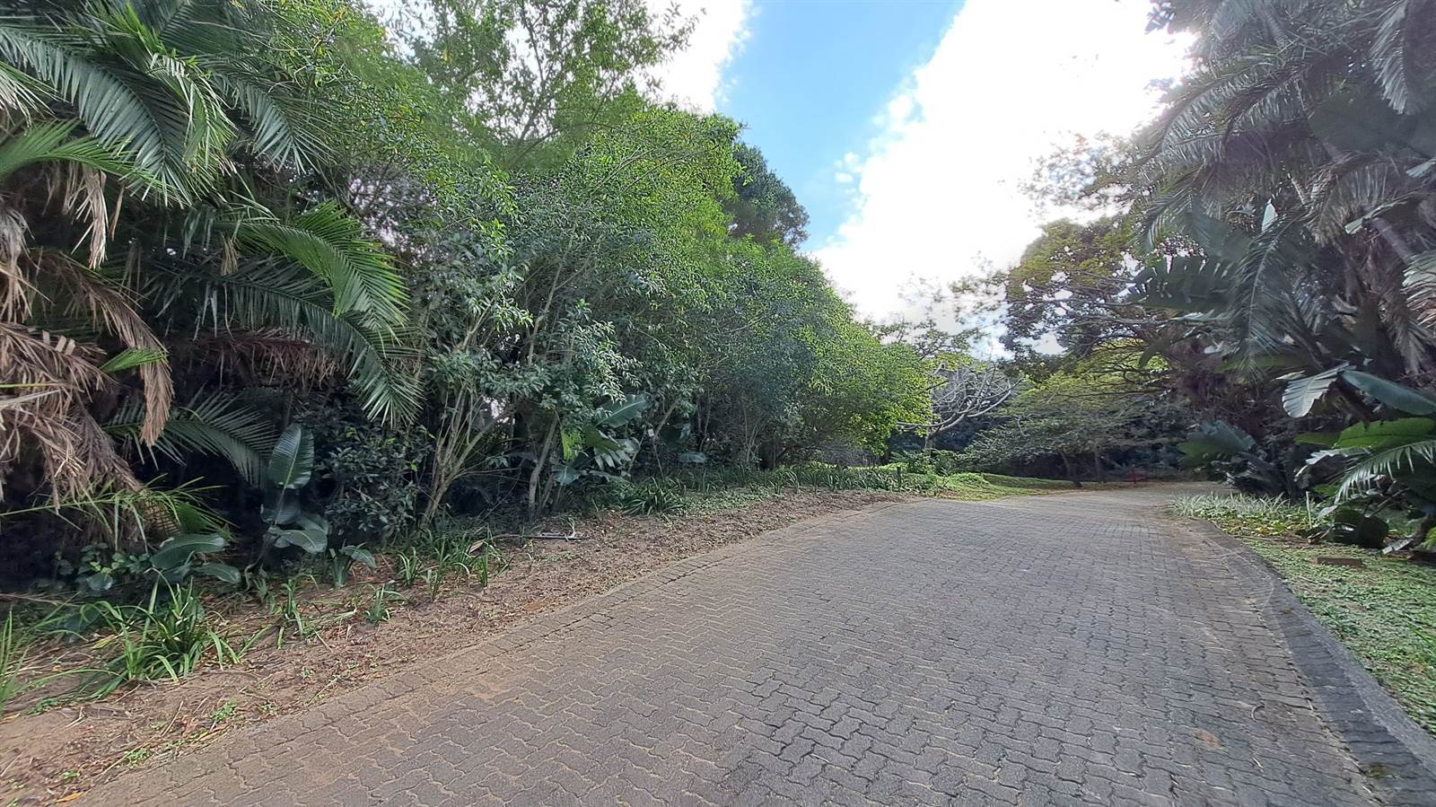 1387 m² Land available in Woodgrange photo number 7