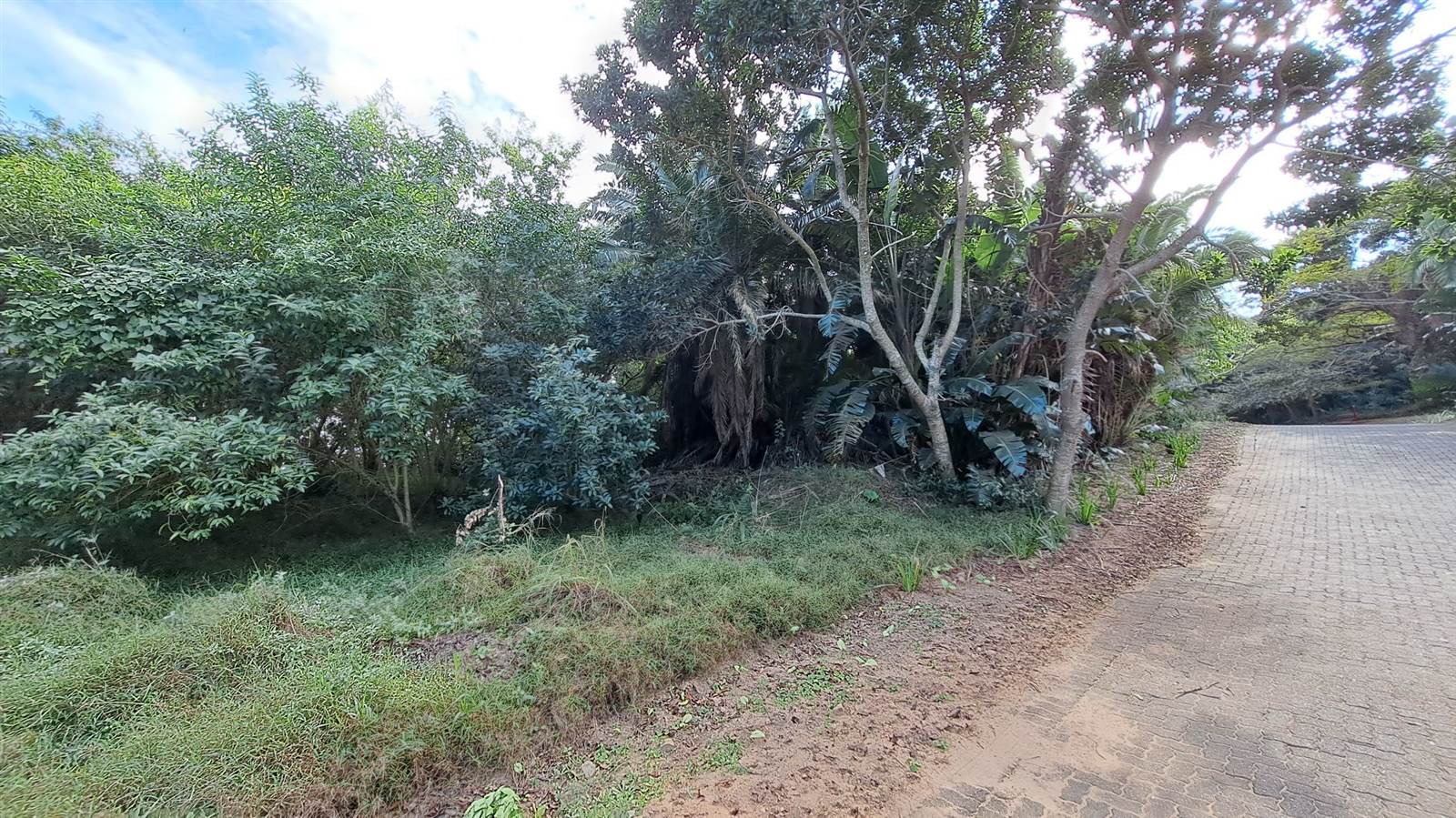 1387 m² Land available in Woodgrange photo number 9