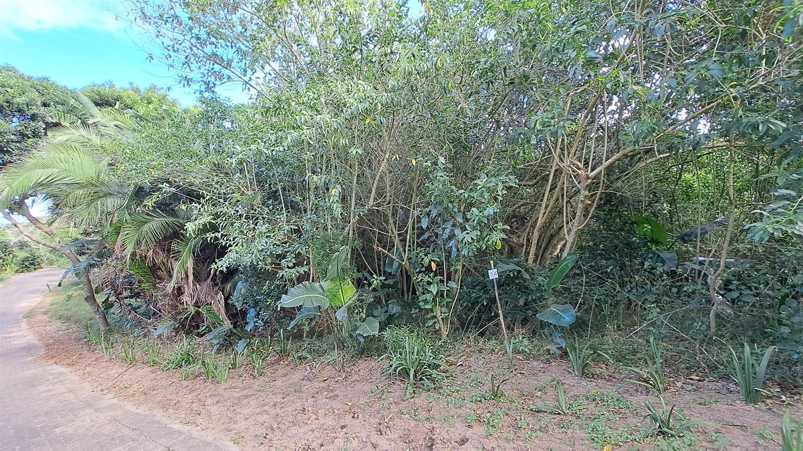 1387 m² Land available in Woodgrange photo number 10