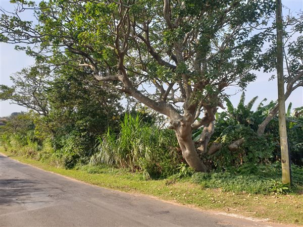 4721 m² Land available in Port Edward