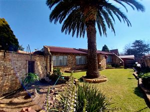 3 Bed House in Hamberg