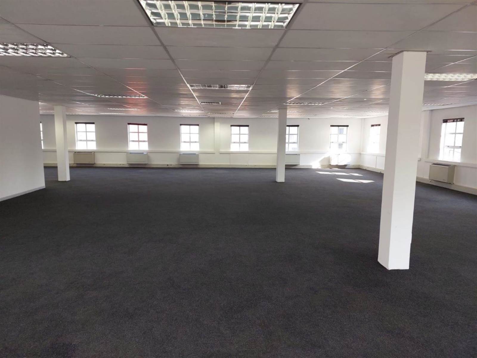 369  m² Commercial space in Fourways photo number 7