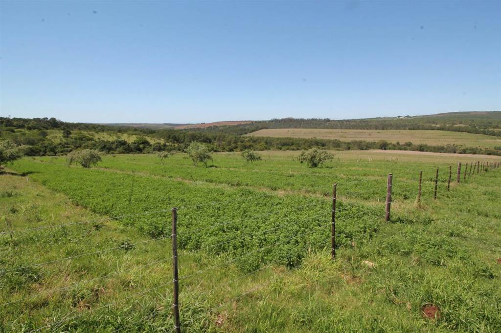 48 ha Farm in Bathurst and Surrounds photo number 8