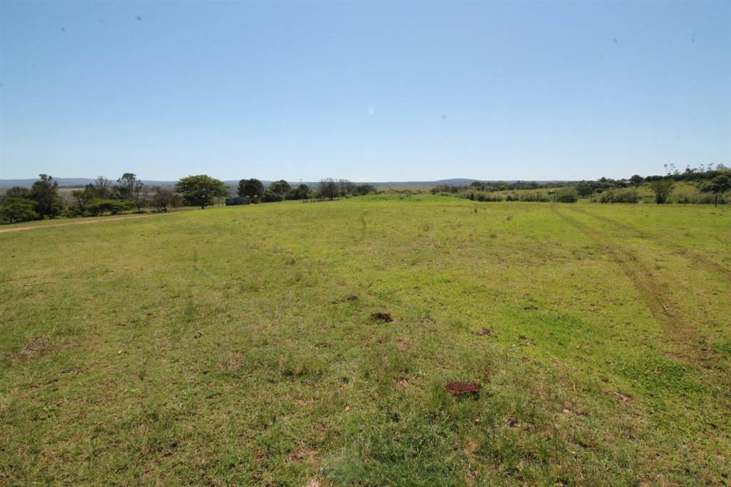 48 ha Farm in Bathurst and Surrounds photo number 9