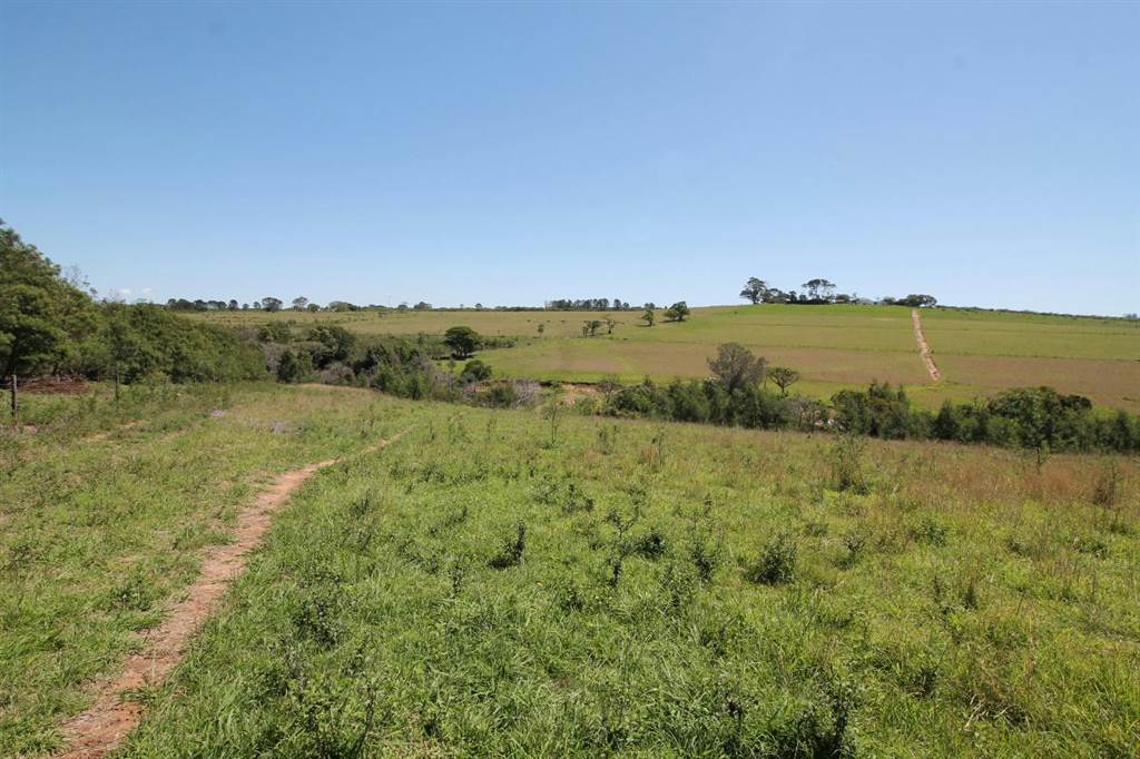 48 ha Farm in Bathurst and Surrounds photo number 10