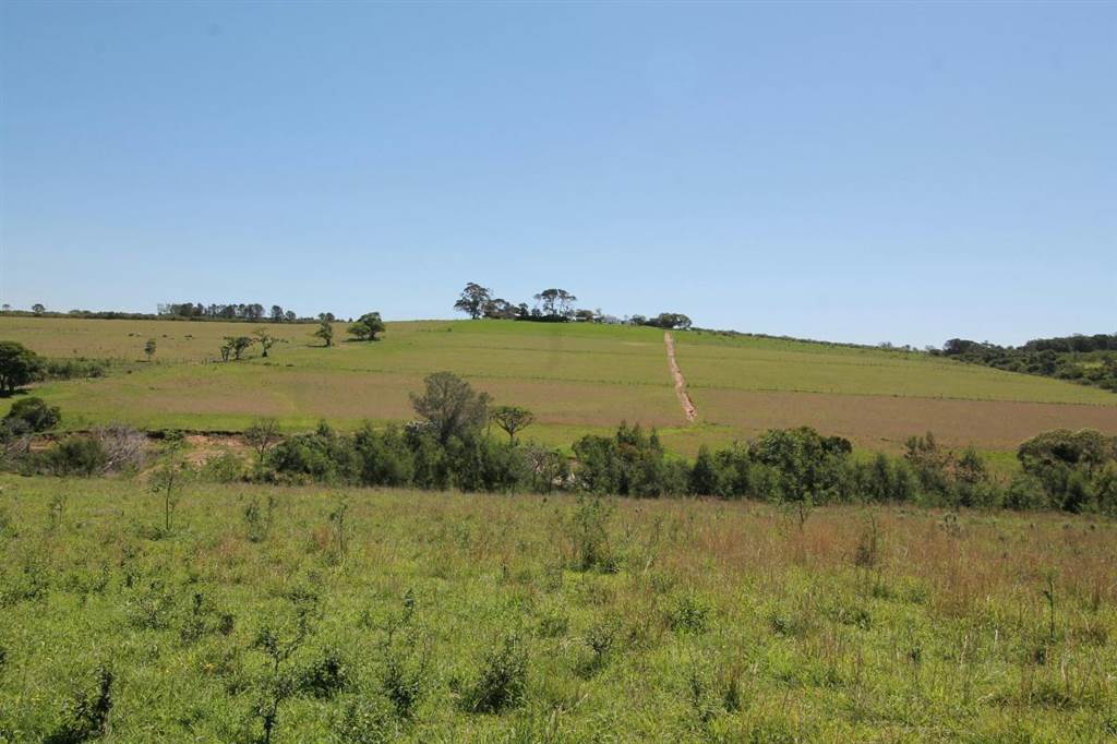48 ha Farm in Bathurst and Surrounds photo number 7