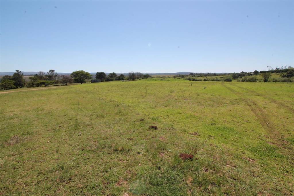 48 ha Farm in Bathurst and Surrounds photo number 6