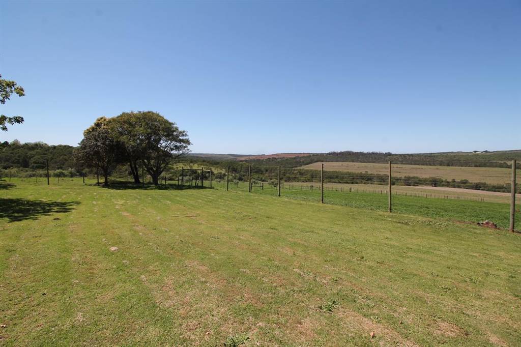 48 ha Farm in Bathurst and Surrounds photo number 11