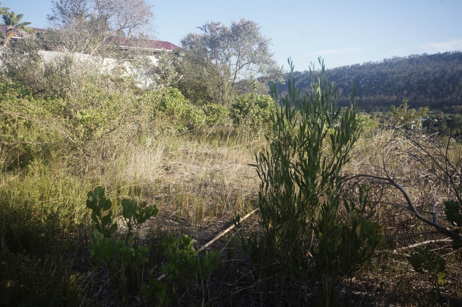 1908 m² Land available in Sedgefield photo number 4
