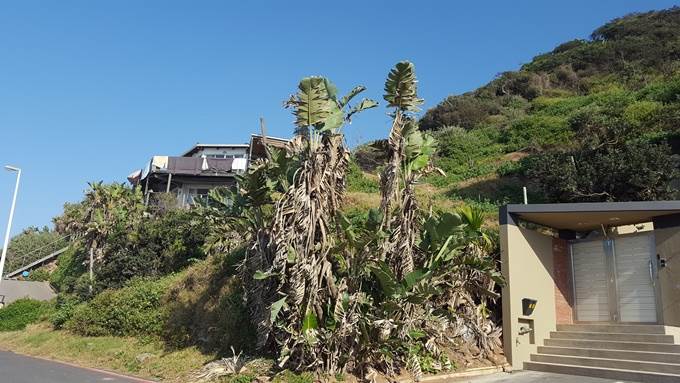 2170 m² Land available in Umdloti Beach photo number 11