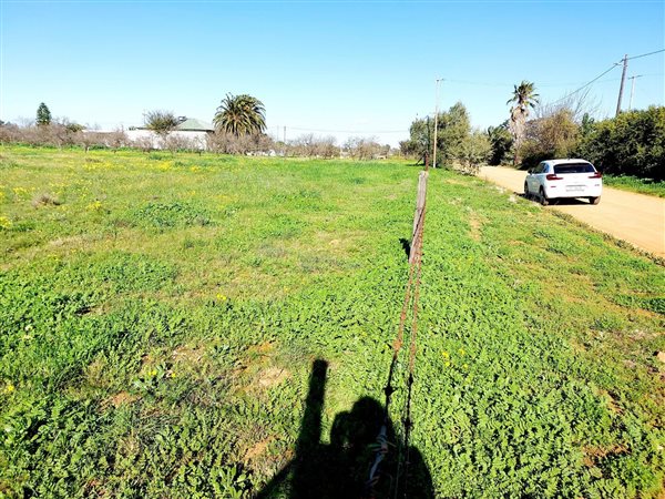 1986 m² Land available in Moorreesburg