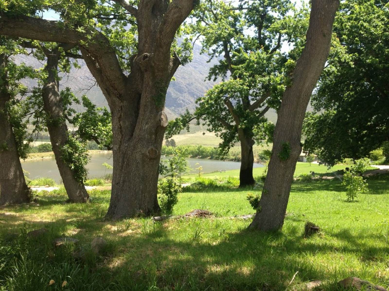 248 ha Farm in Tulbagh photo number 16