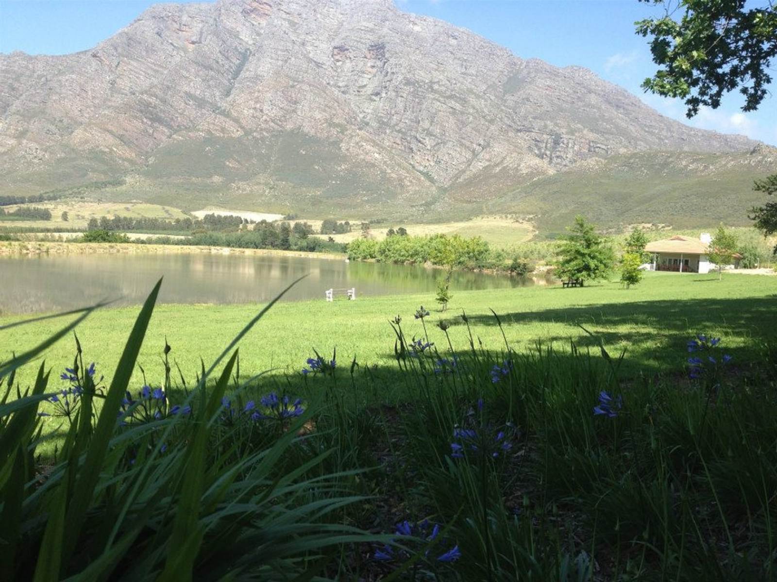 248 ha Farm in Tulbagh photo number 14