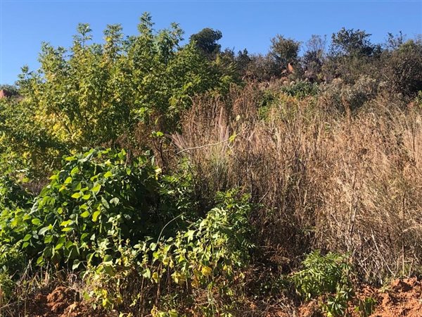 221 m² Land available in Soshanguve
