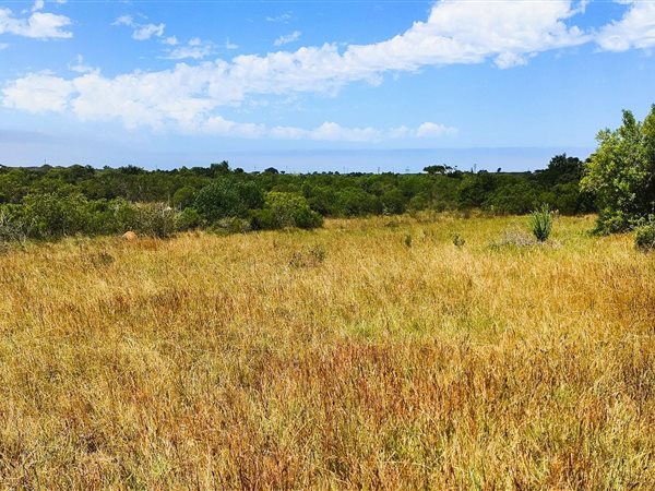 1401 m² Land available in Boesmansriviermond