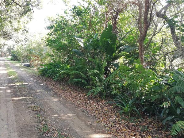 2859 m² Land available in Palm Beach