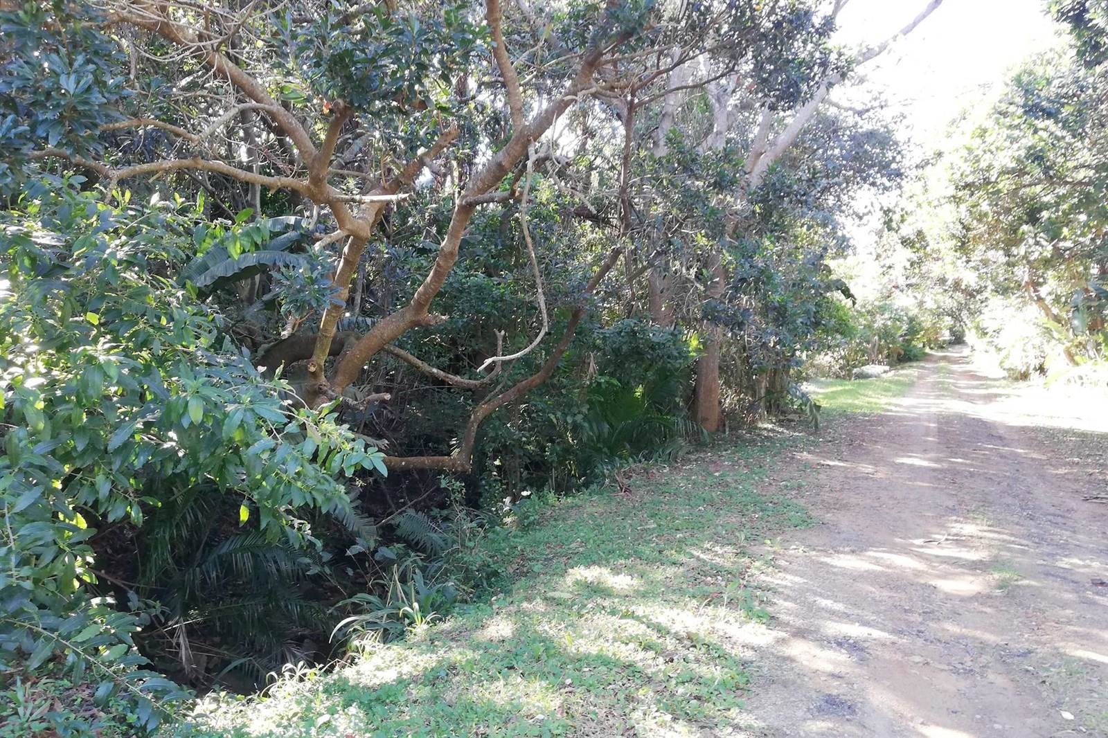 2859 m² Land available in Palm Beach photo number 9