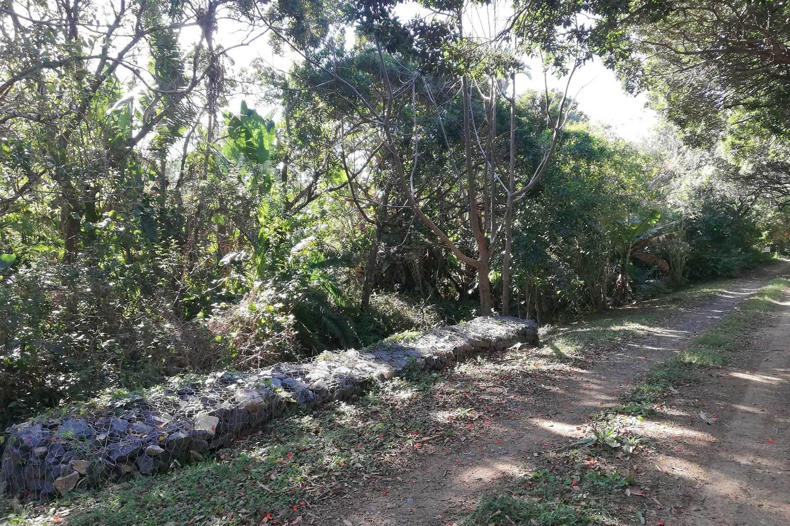 2859 m² Land available in Palm Beach photo number 3