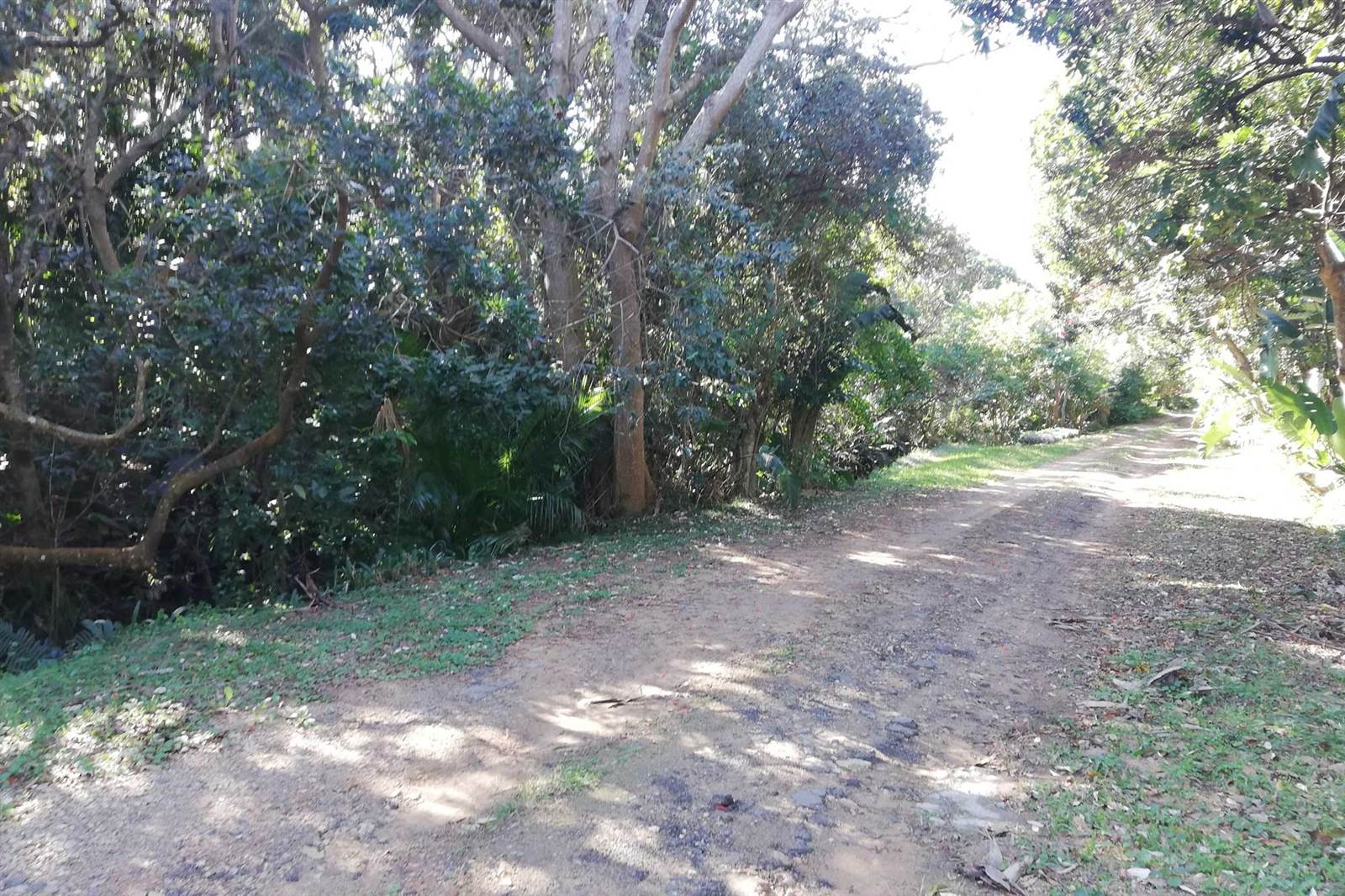 2859 m² Land available in Palm Beach photo number 5