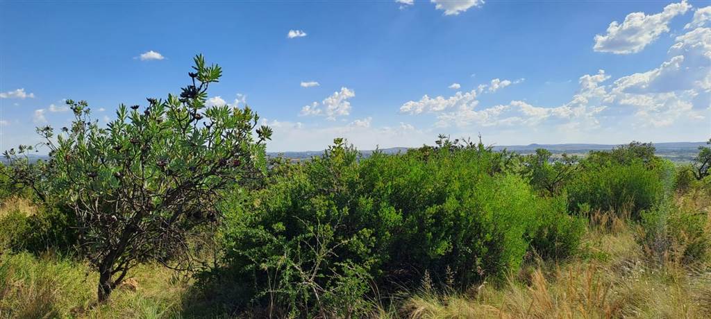 2.2 ha Land available in Vyfhoek photo number 9