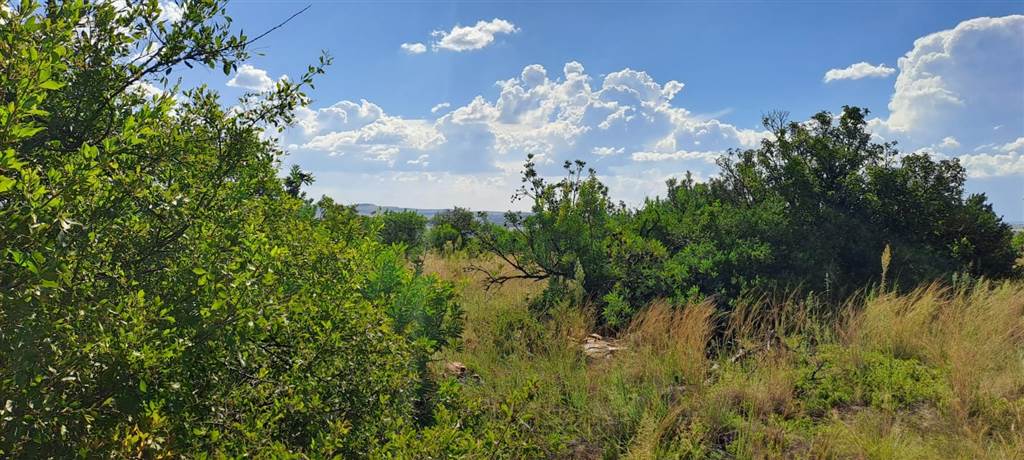 2.2 ha Land available in Vyfhoek photo number 18