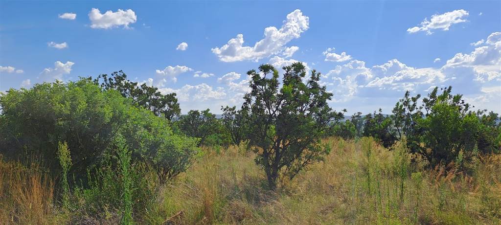 2.2 ha Land available in Vyfhoek photo number 12