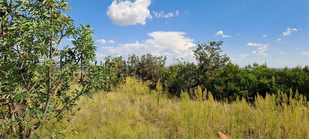 2.2 ha Land available in Vyfhoek photo number 13