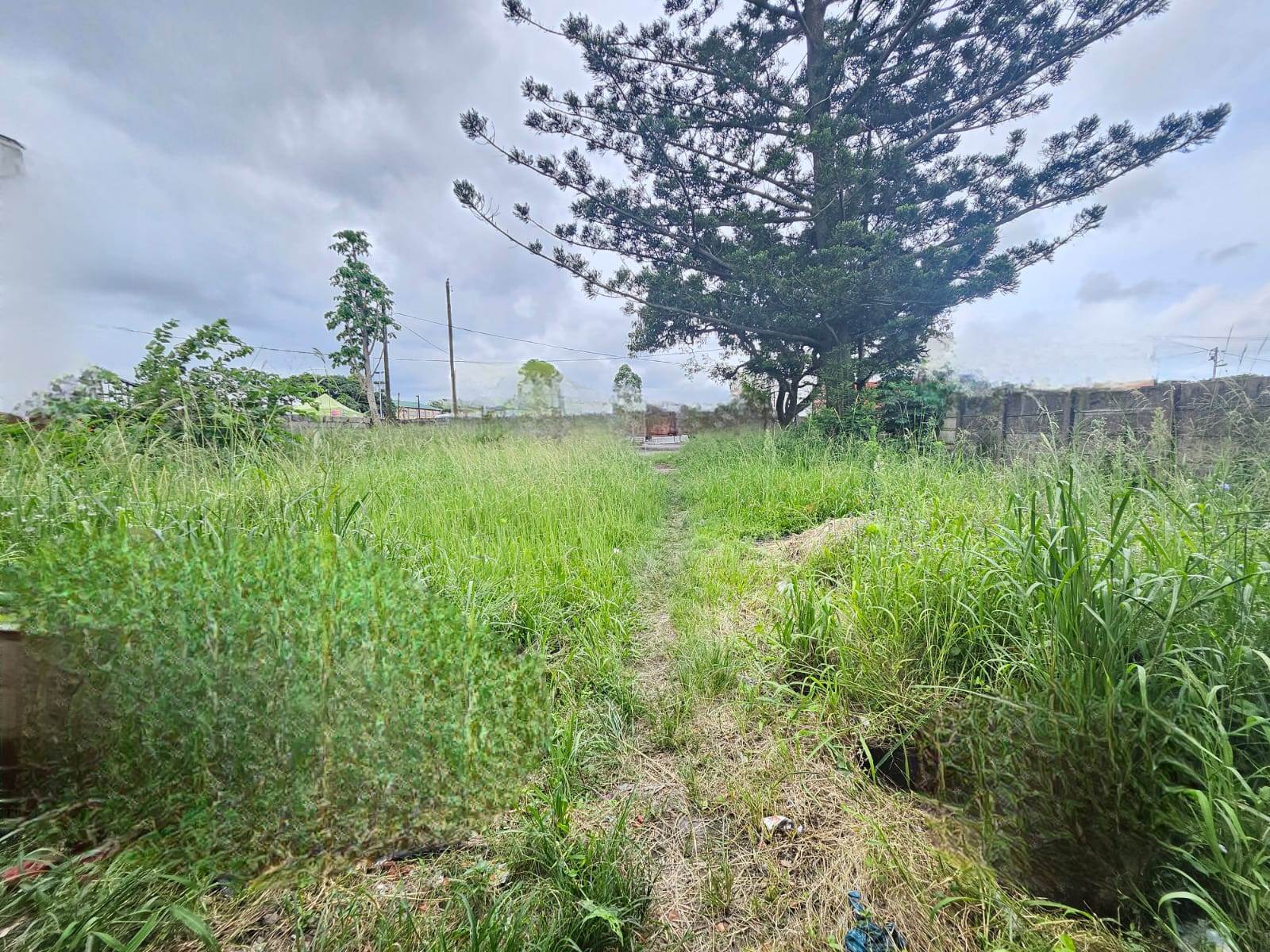 1218 m² Land available in Clairwood photo number 4