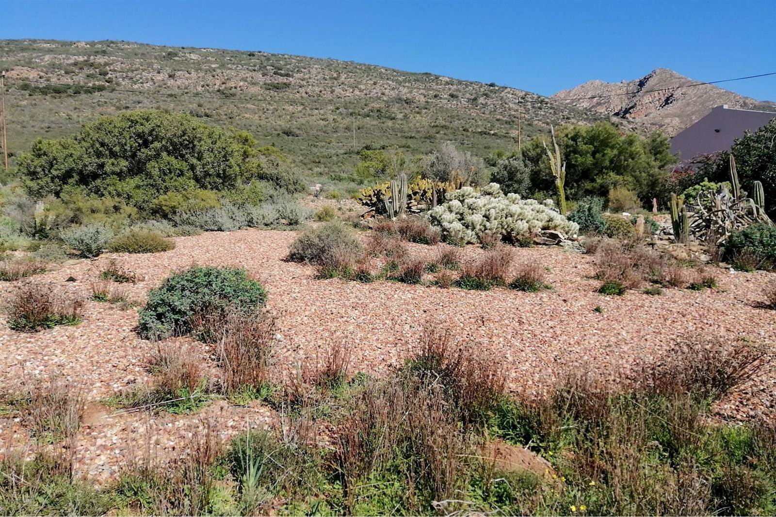 1200 m² Land available in Montagu photo number 3