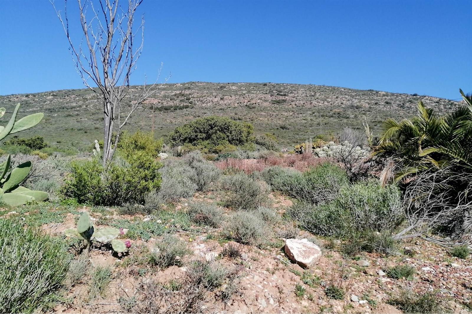 1200 m² Land available in Montagu photo number 2