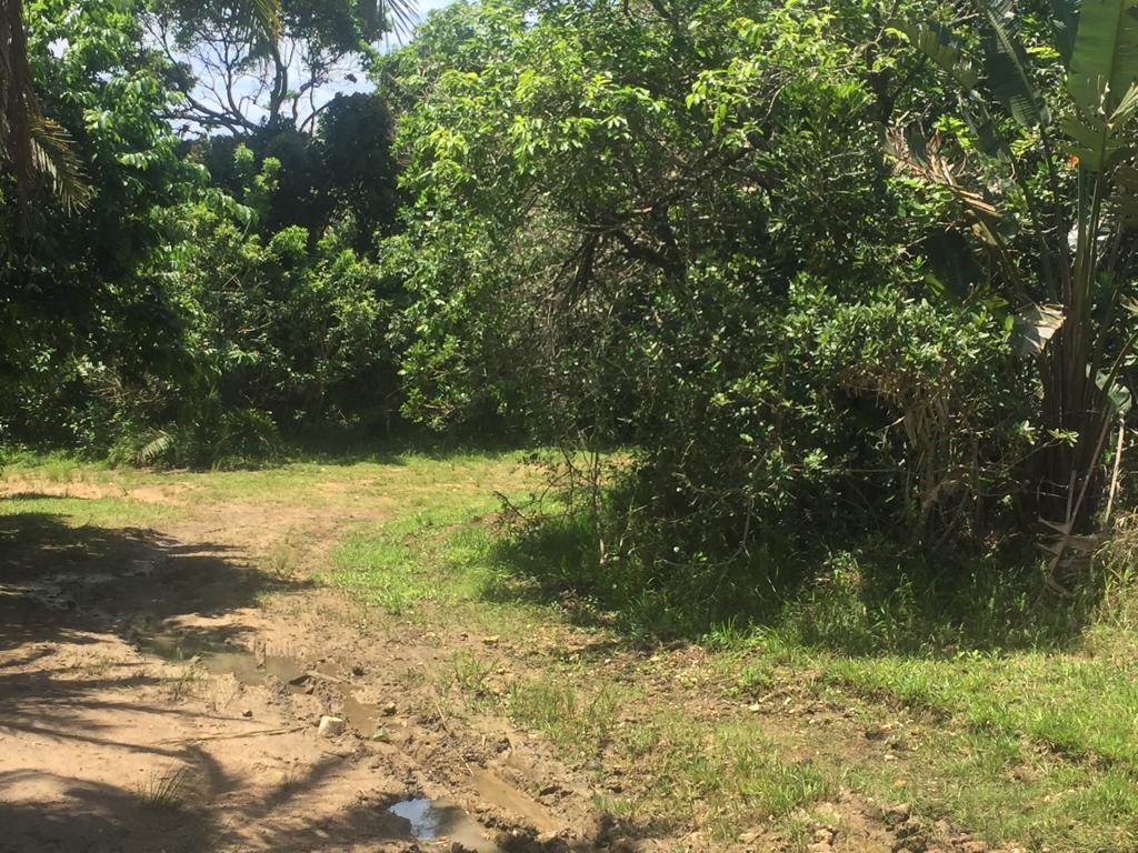 1493 m² Land available in Hibberdene photo number 9