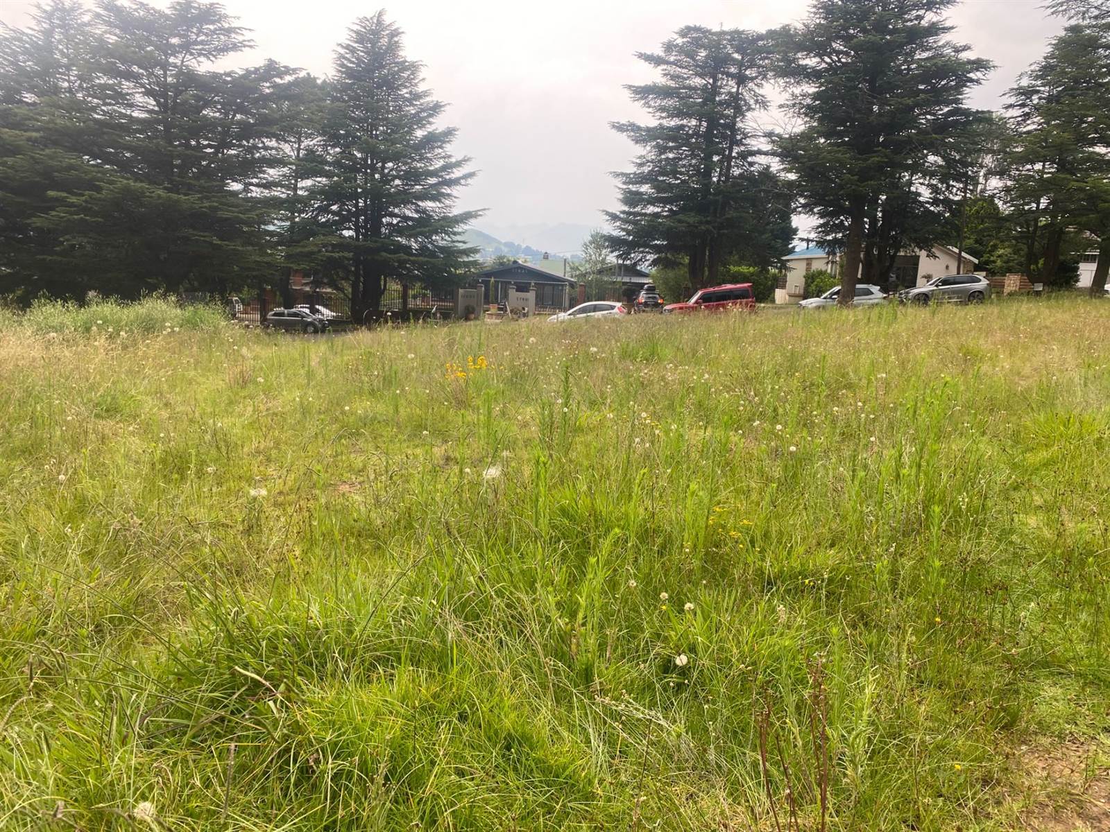 798 m² Land available in Clarens photo number 6