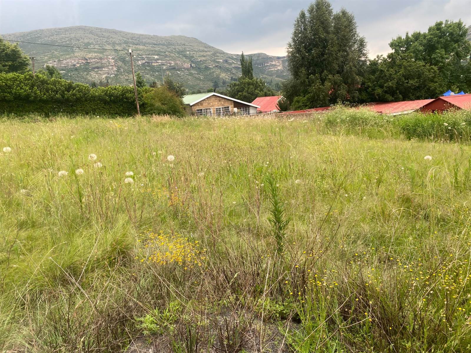 798 m² Land available in Clarens photo number 4
