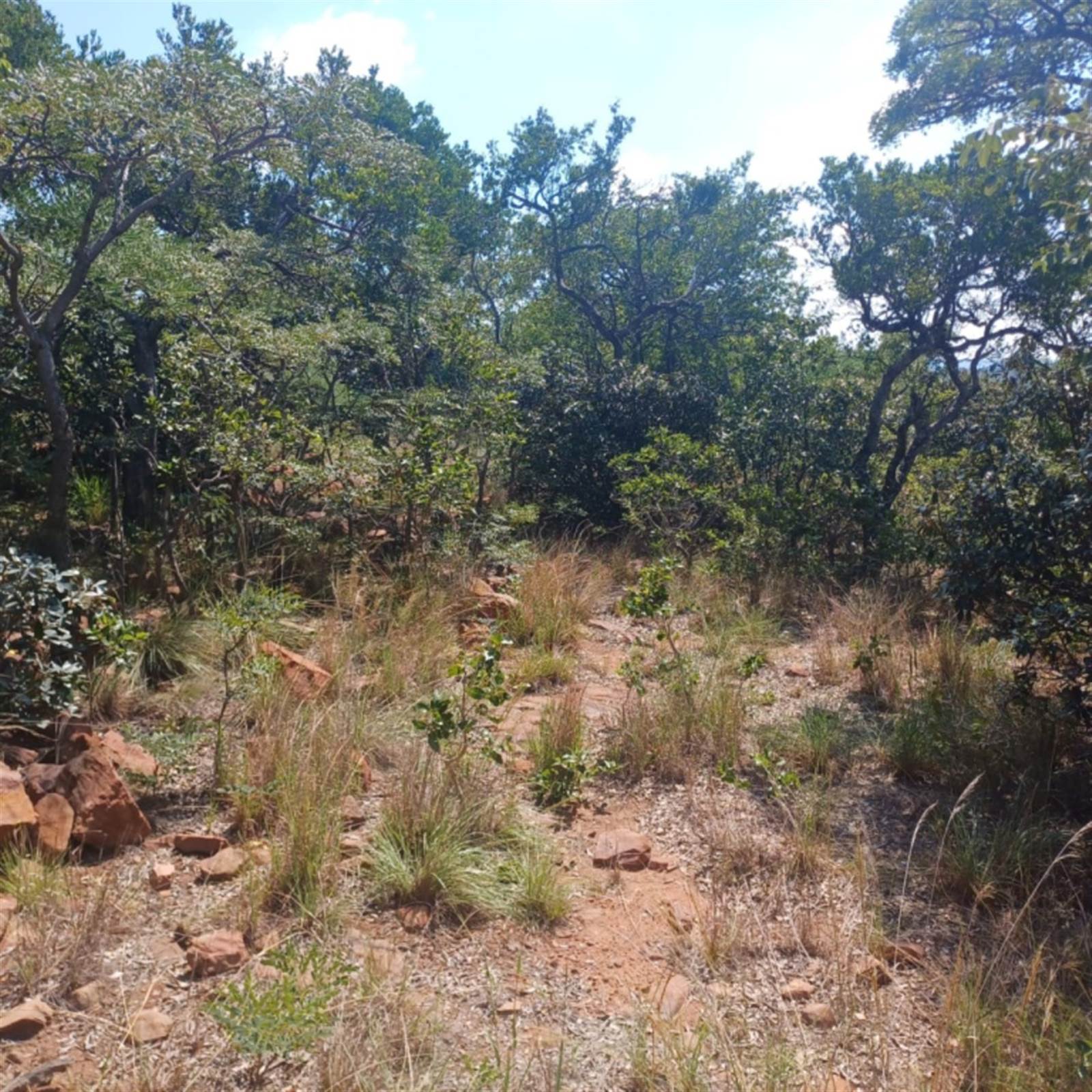 975 m² Land available in Bela-Bela (Warmbaths) photo number 1