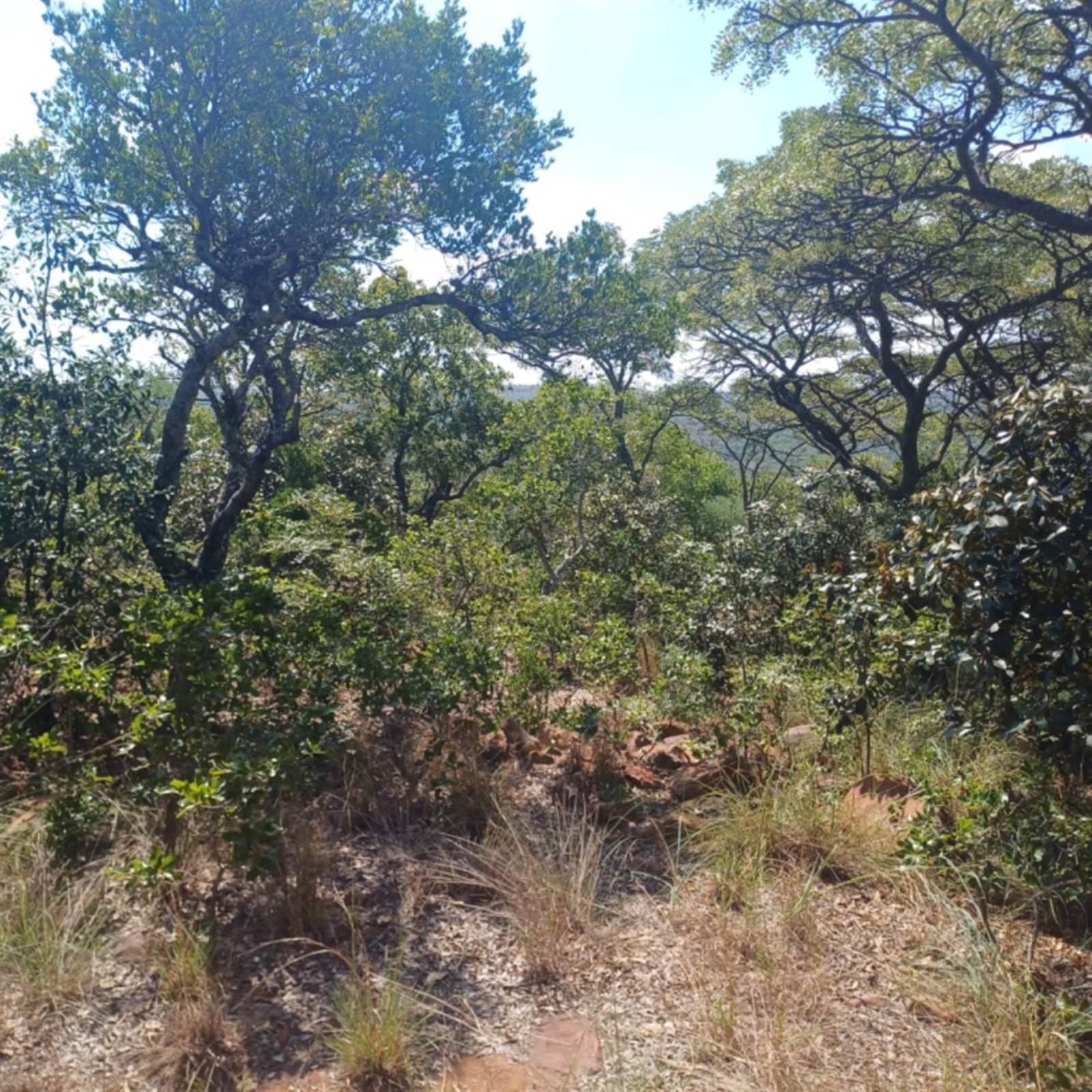 975 m² Land available in Bela-Bela (Warmbaths) photo number 2