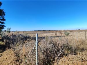 5.1 ha Land available in Elandsfontein AH
