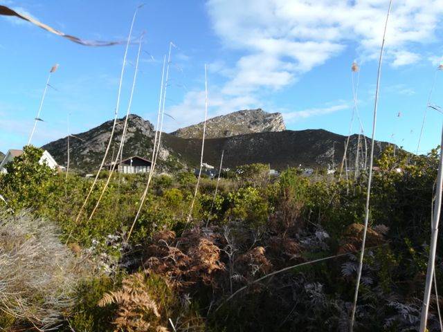 719 m² Land available in Pringle Bay photo number 7