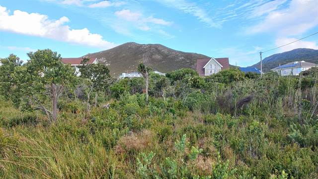 719 m² Land available in Pringle Bay photo number 5