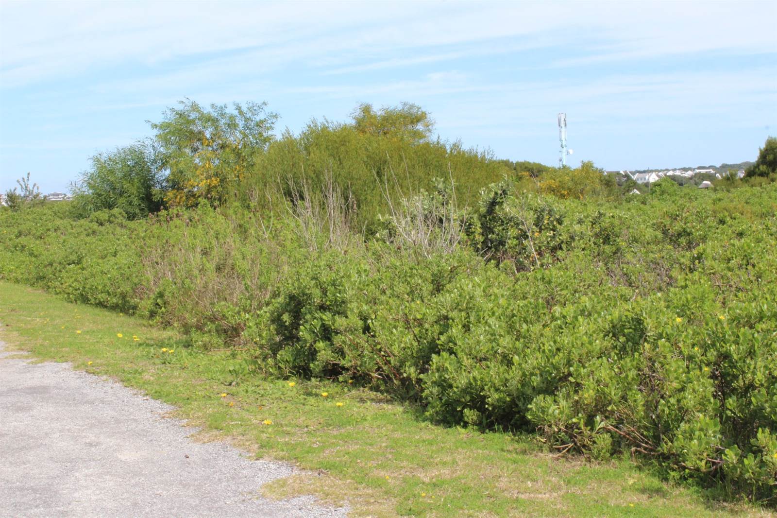 871 m² Land available in St Francis Bay Canals photo number 6