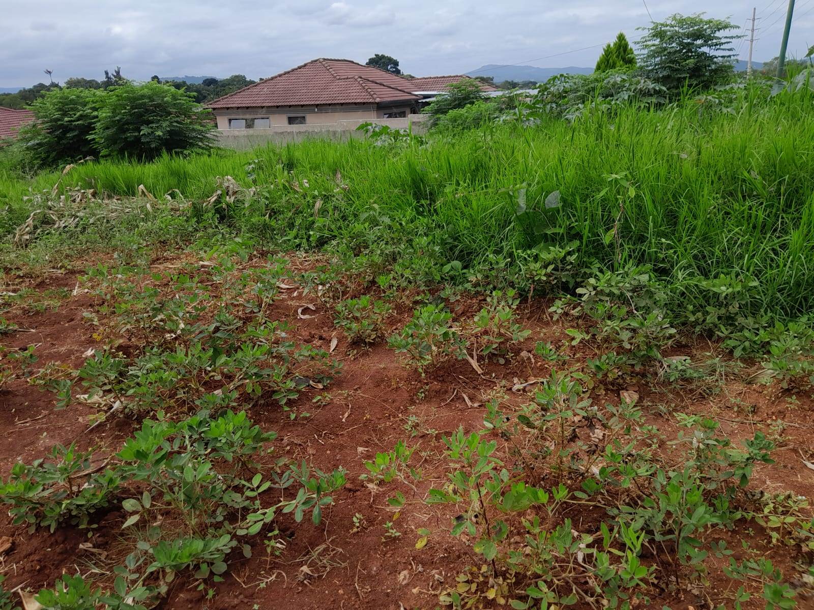 650 m² Land available in Tzaneen photo number 2