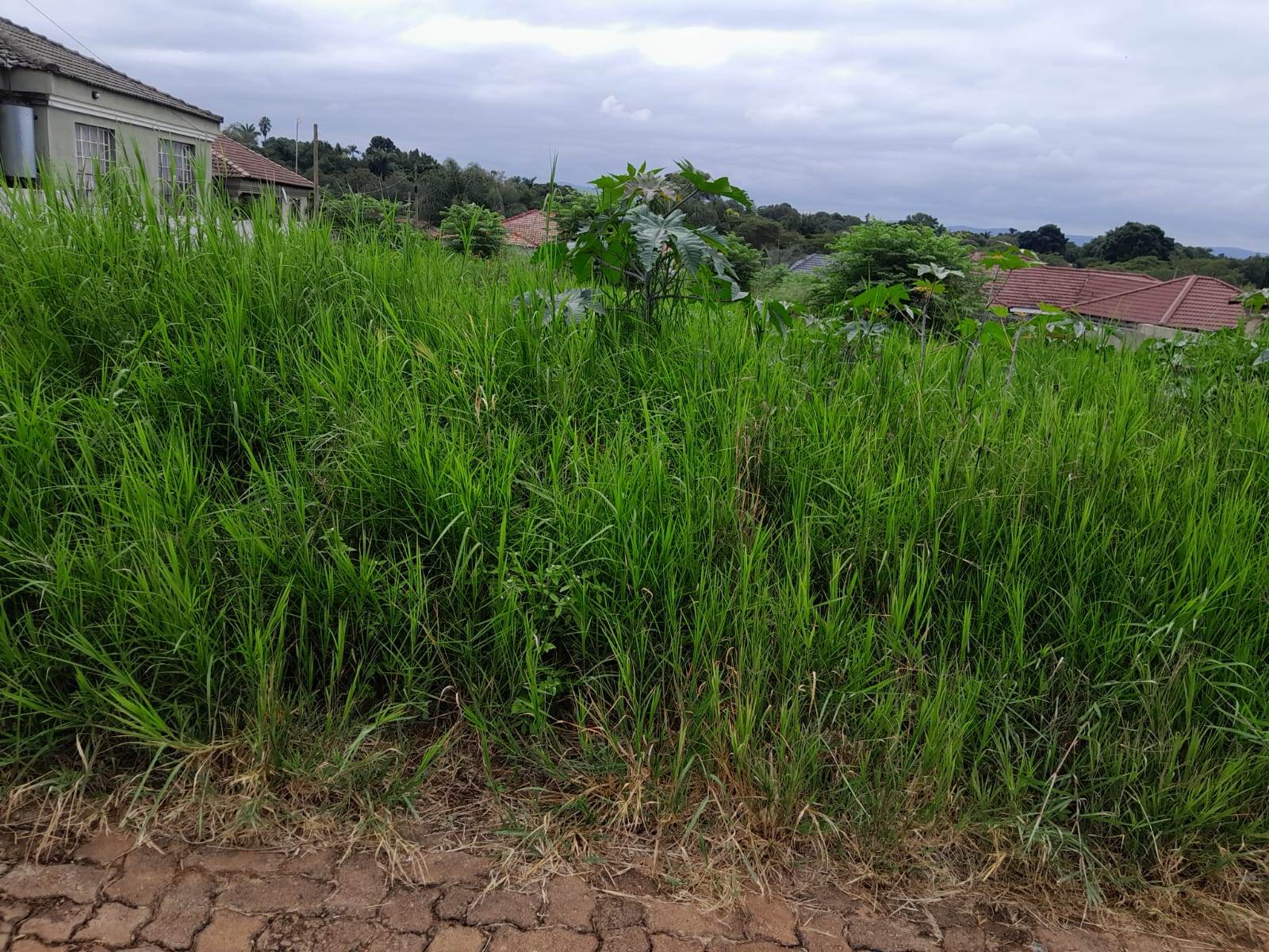 650 m² Land available in Tzaneen photo number 3