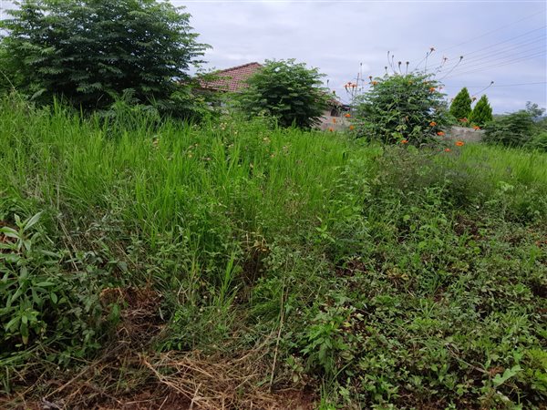 650 m² Land available in Tzaneen