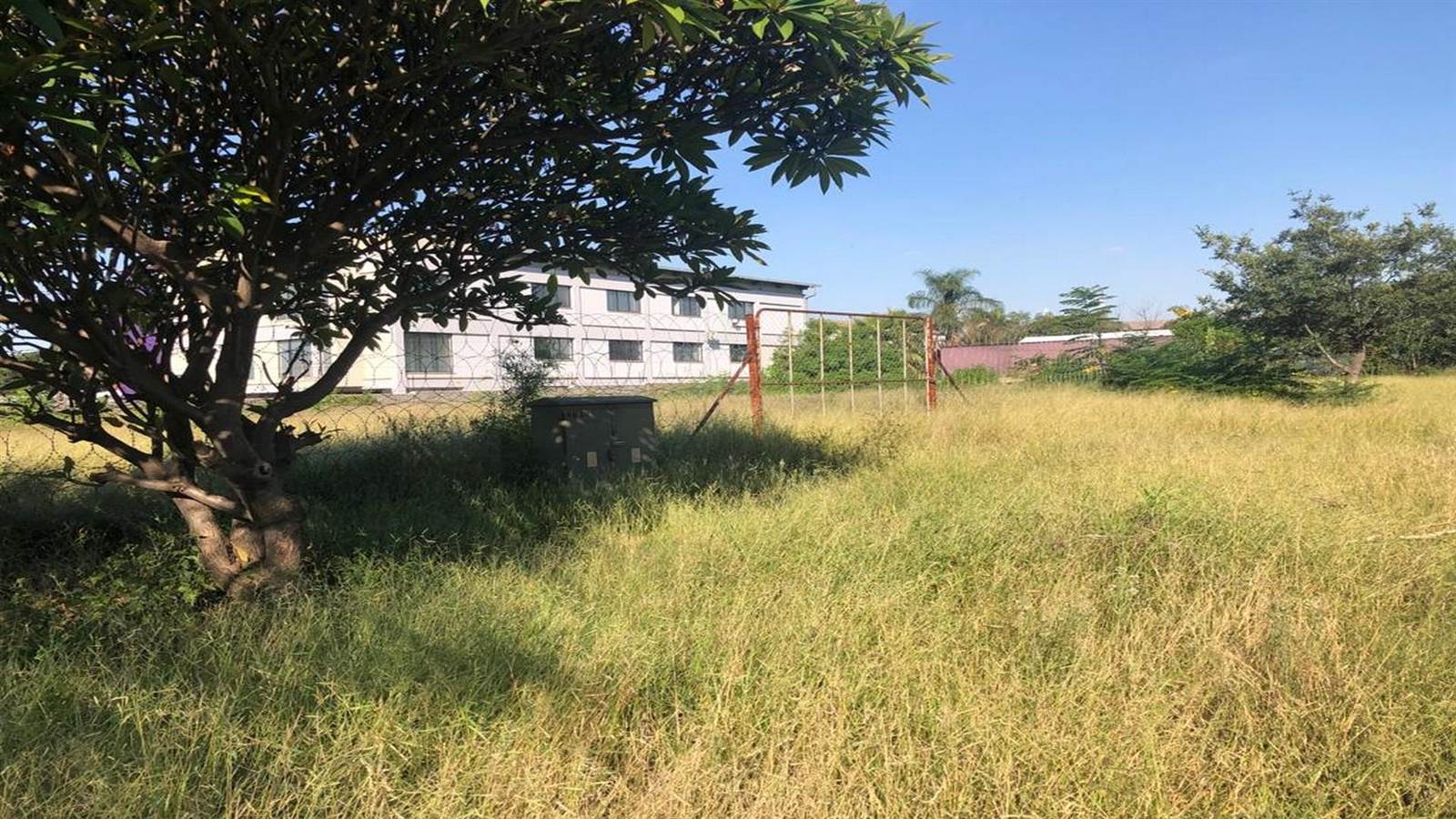 4900 m² Land available in Bo Dorp photo number 6