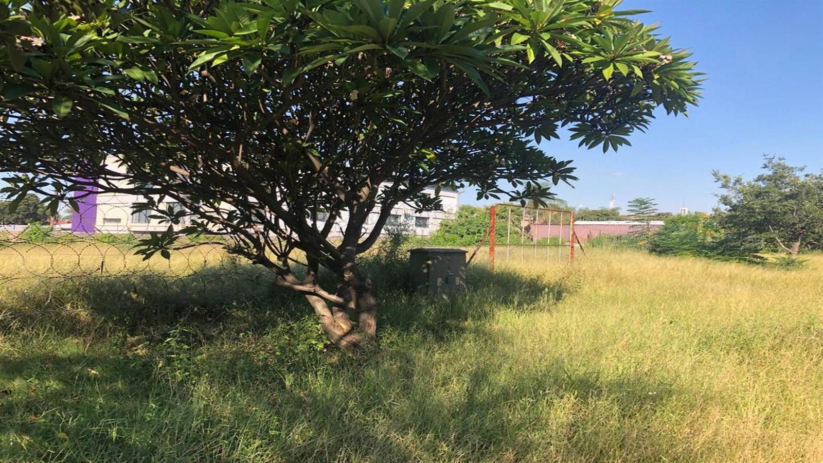 4900 m² Land available in Bo Dorp photo number 3