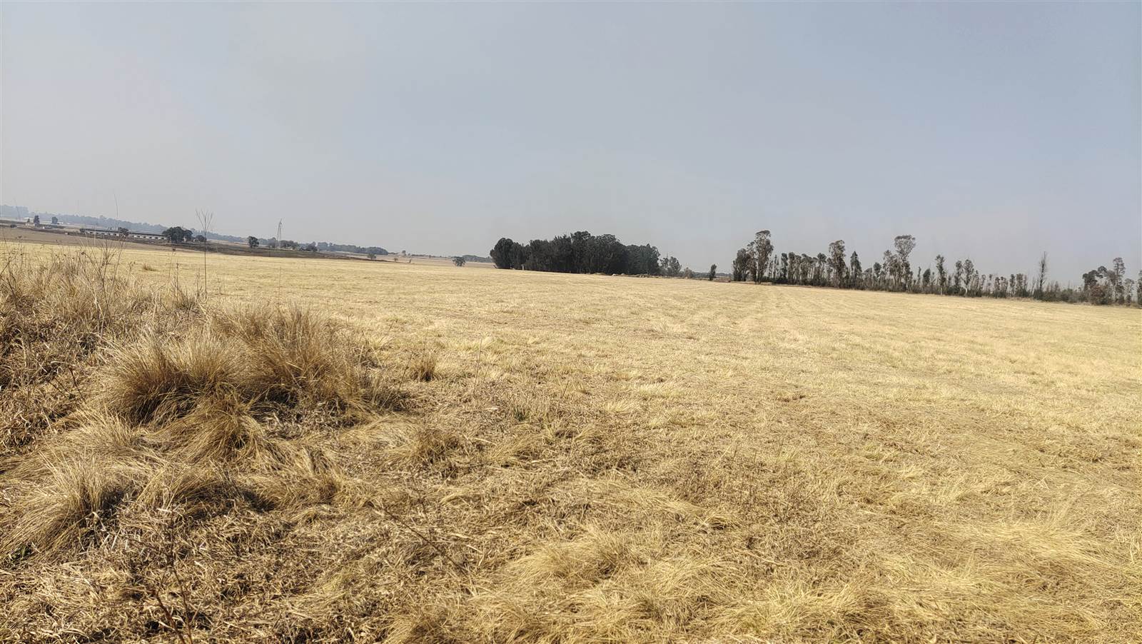 51.7 ha Farm in Cullinan and Surrounds photo number 8