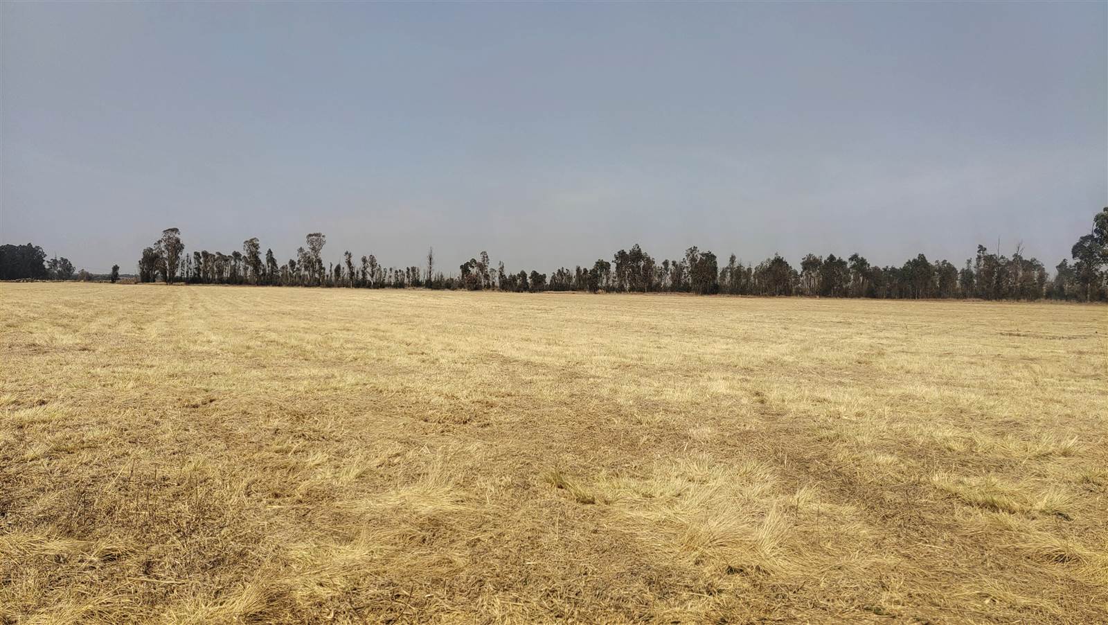 51.7 ha Farm in Cullinan and Surrounds photo number 10