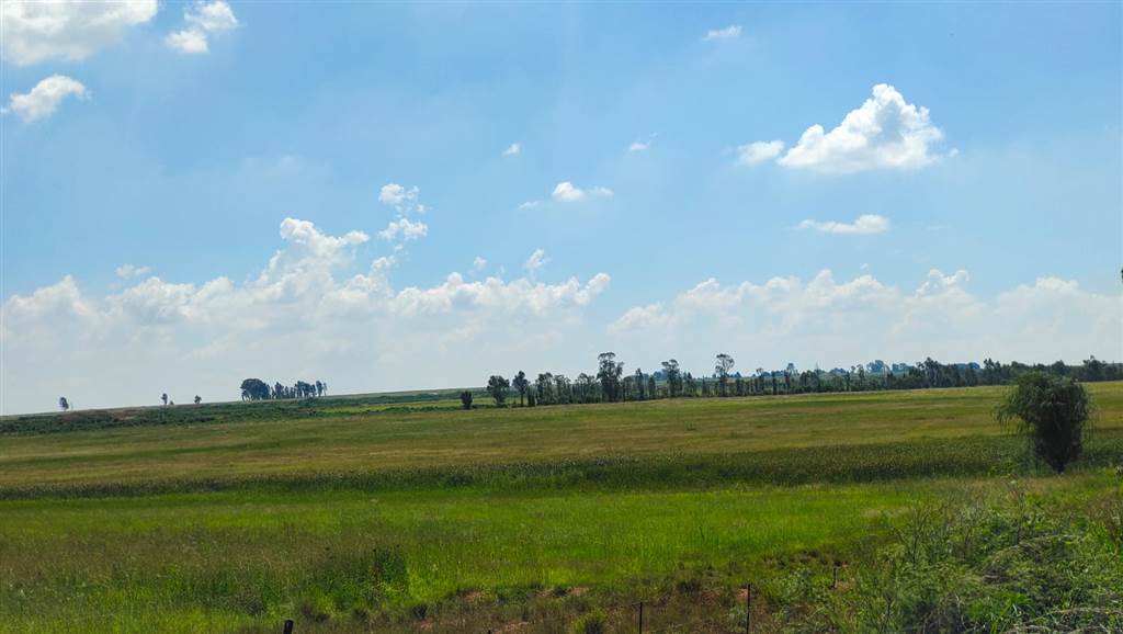 51.7 ha Farm in Cullinan and Surrounds photo number 6