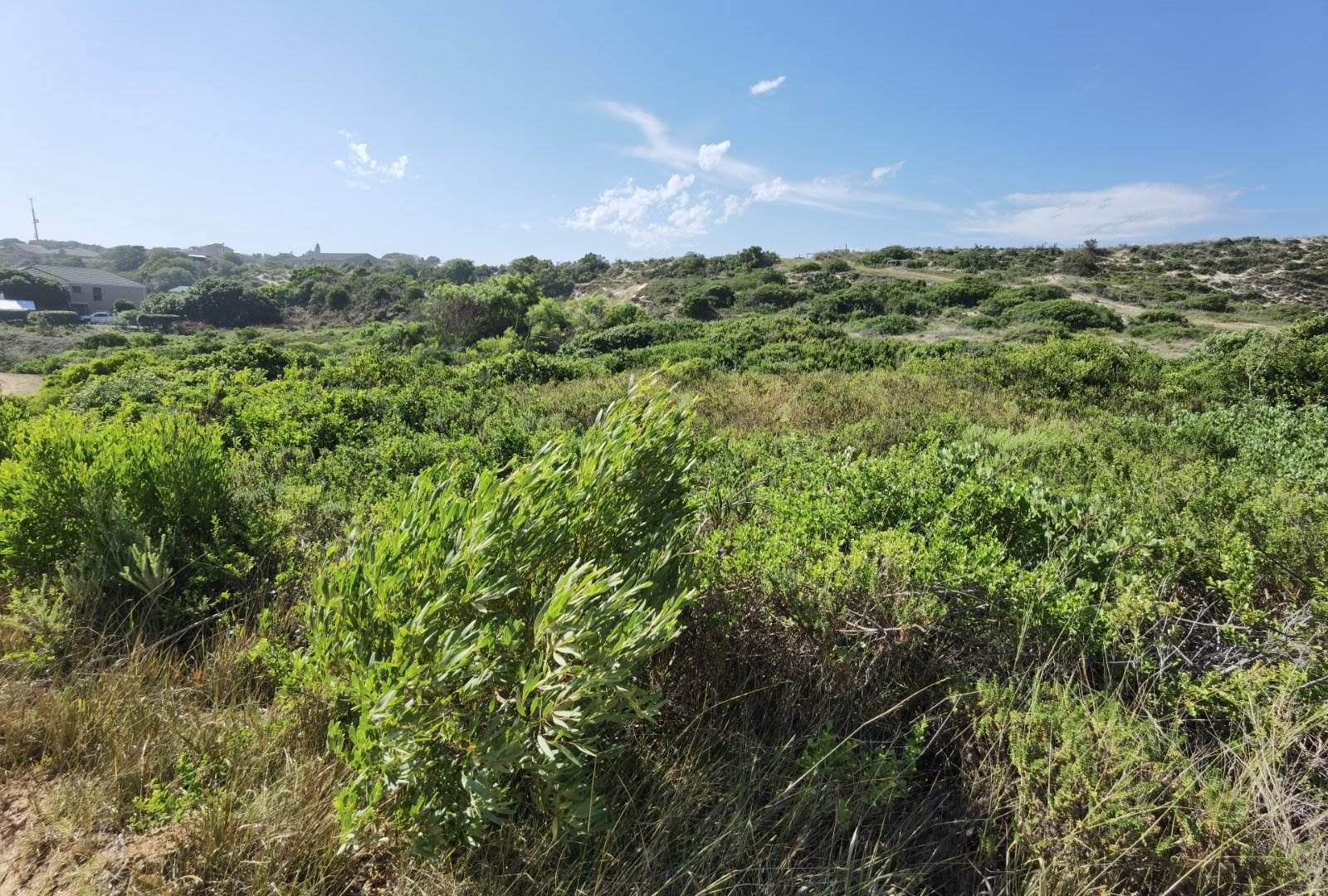 687 m² Land available in Oyster Bay photo number 5